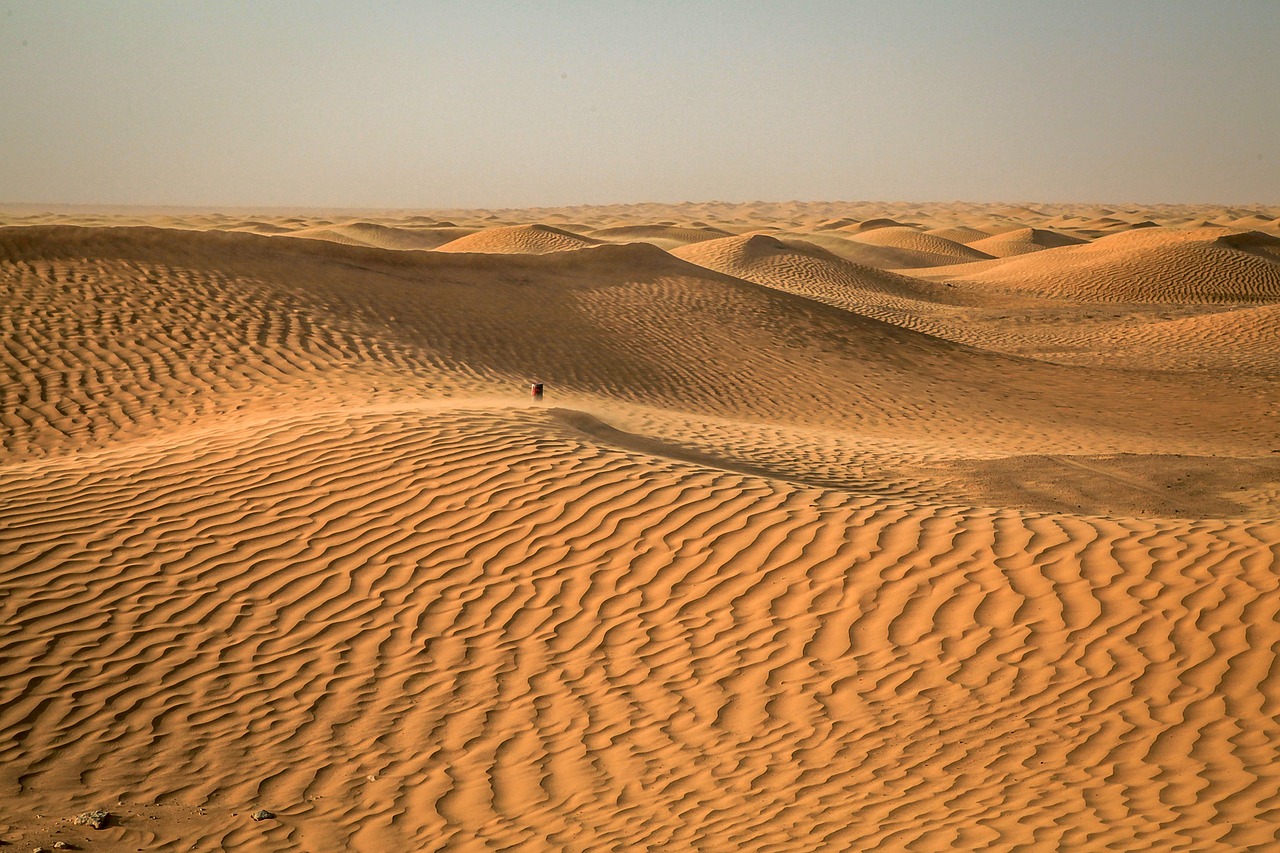 From Djerba to the Sahara