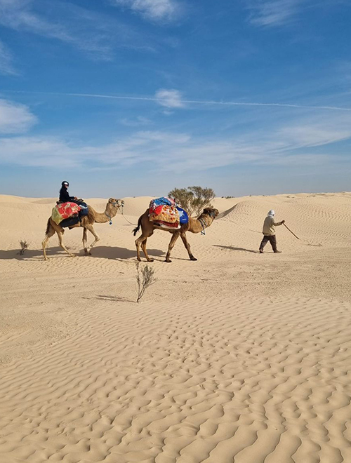 From Tunis, Sousse or Hammamet